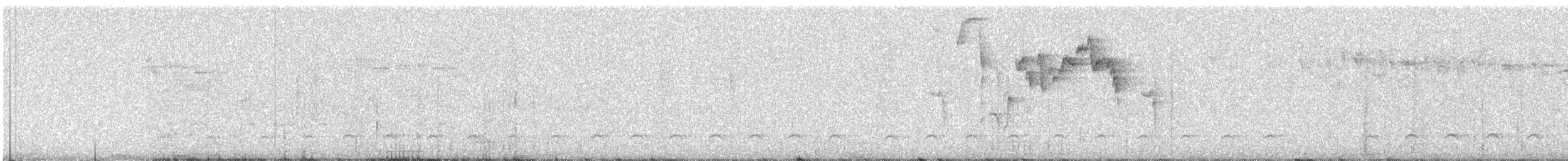 Troglodyte montagnard - ML311417721