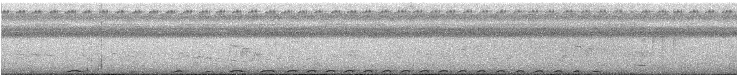 holub angaurský - ML31146131