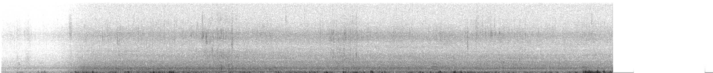 Cisne Trompetero - ML31146281