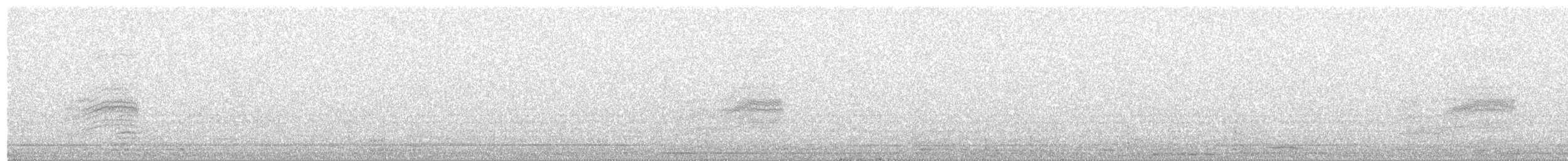 Spotted Towhee (oregonus Group) - ML311534831
