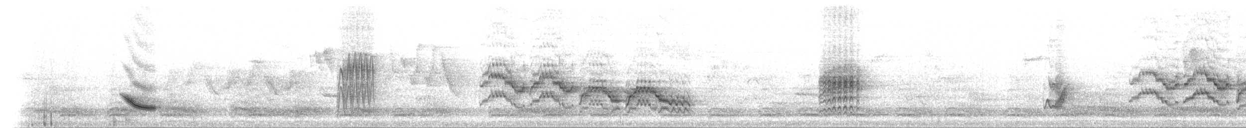 Дрізд-короткодзьоб бурий - ML31155331