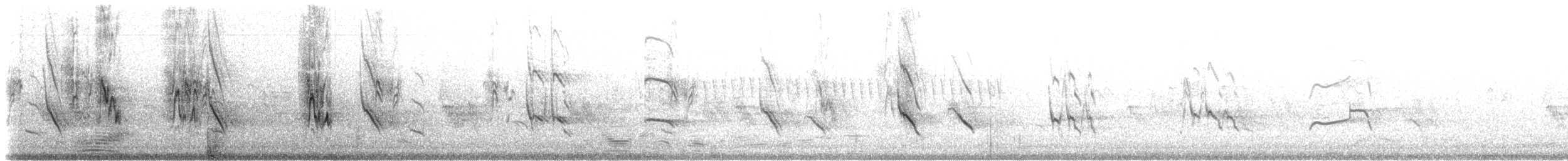 Fischadler (carolinensis) - ML31155361