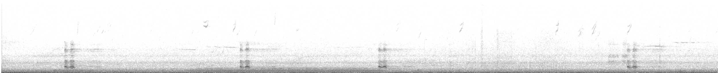 Ring-necked Pheasant - ML311562581