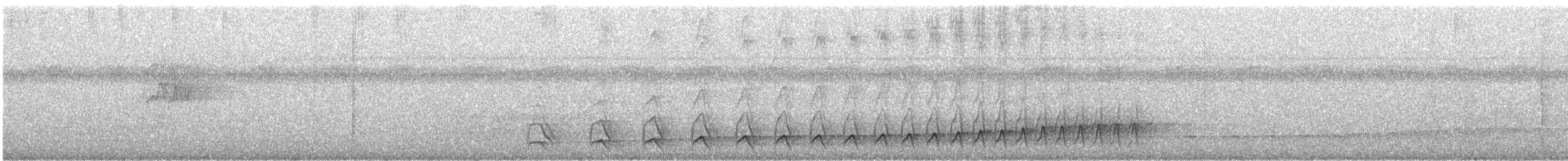 Schwarzgesicht-Ameisenwürger - ML311775311