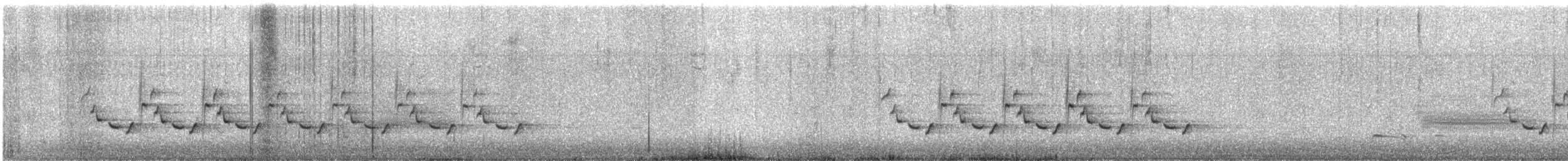 Поплітник каролінський - ML311791401