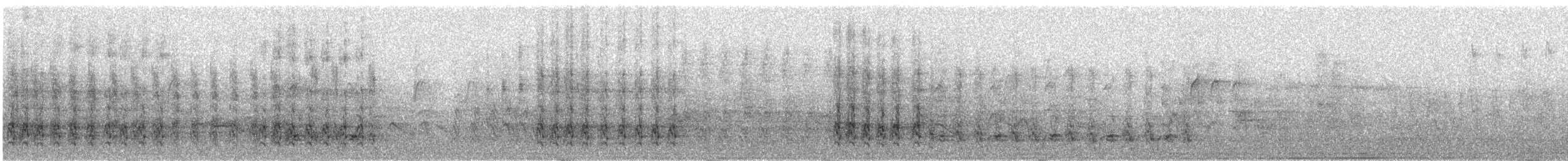 furuskrike (stelleri gr.) - ML311805151