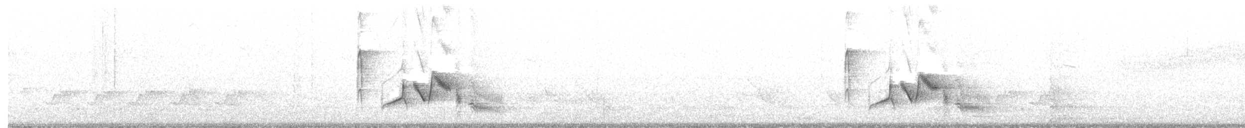 White-eyed Vireo - ML311815591
