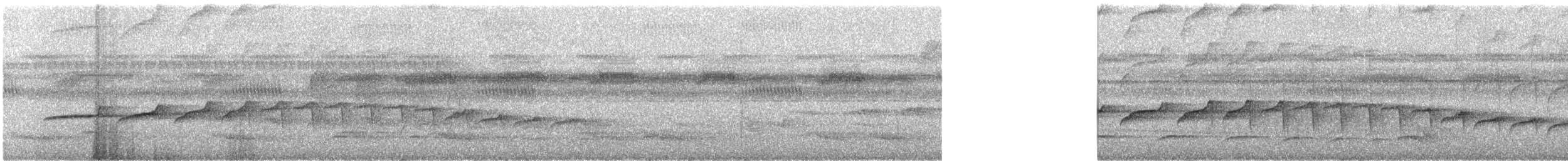 Braunweiß-Ameisenvogel - ML311828251