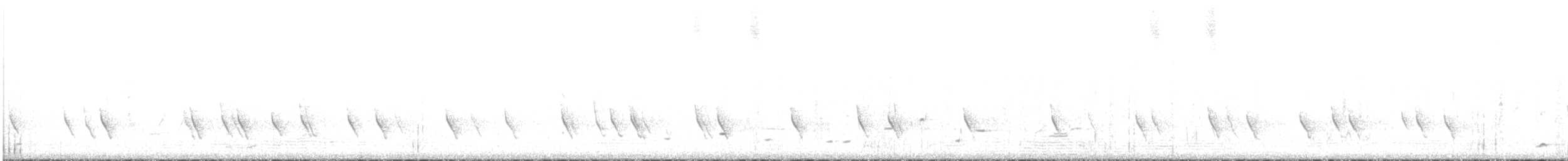 Медолюб-шилодзьоб західний - ML311879251