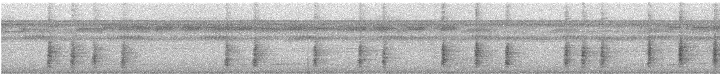 Boz Kanatlı Borazankuşu (ochroptera) - ML311915111