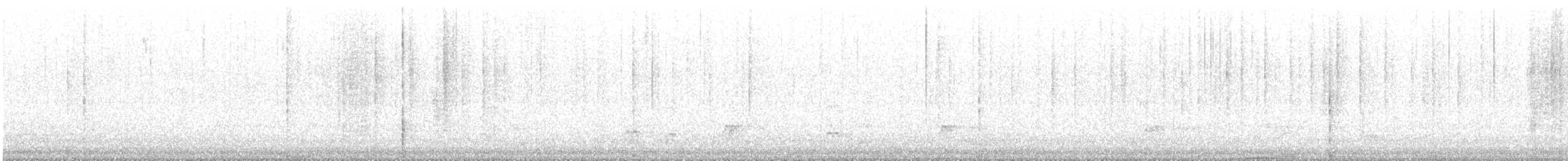 Canard siffleur - ML311949421