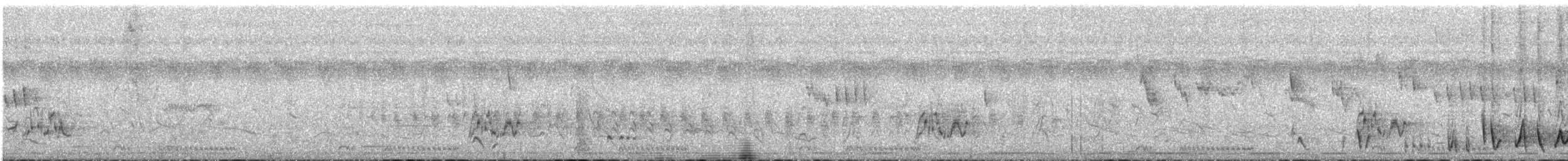 Braunkopf-Tropfenvogel - ML311963201