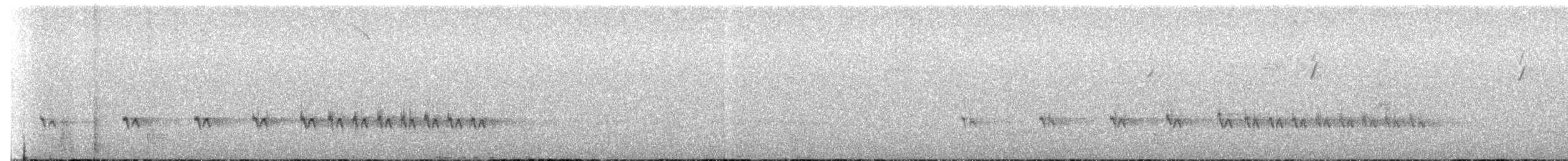 Wrentit - ML311969451