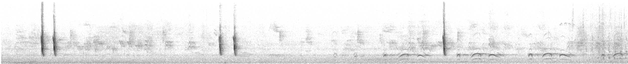 Hermit Thrush (guttatus Group) - ML312012091