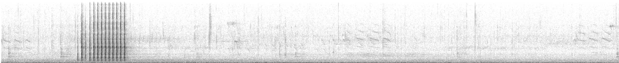 Downy Woodpecker (Eastern) - ML312014761