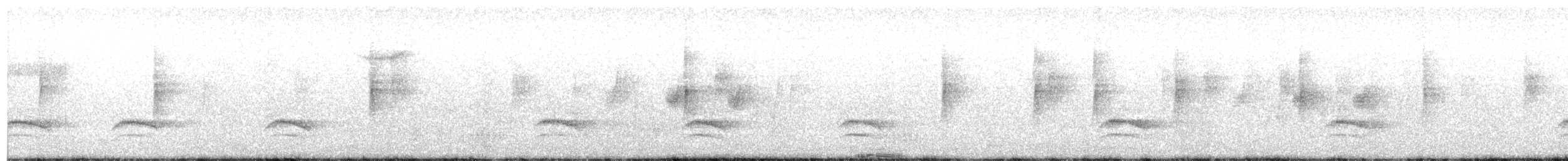 Weißbrustkleiber (aculeata/alexandrae) - ML312087011