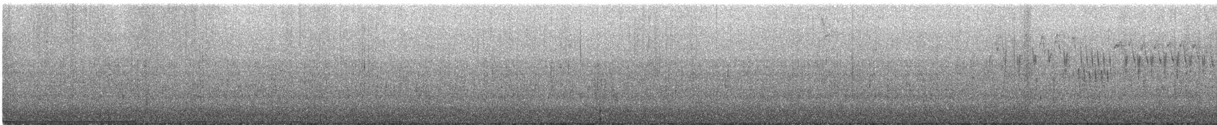 Troglodyte de Baird - ML312123511