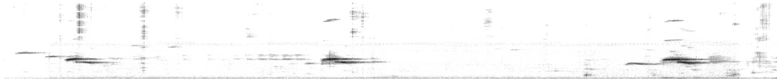 Gray-lored Broadbill - ML312211641