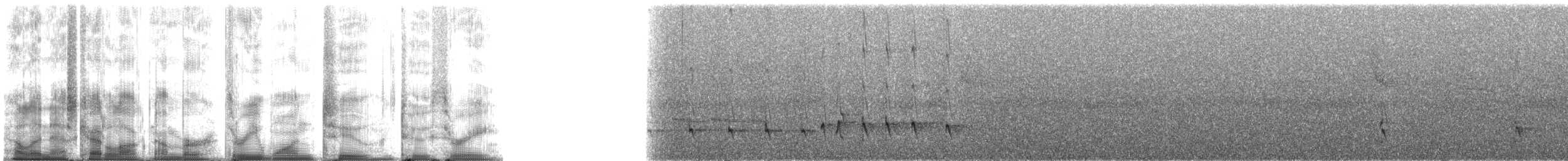 Grauschulter-Kappentyrann - ML31223