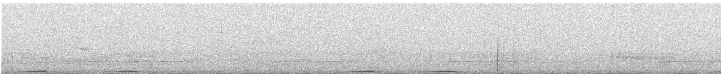 holub černošíjný - ML312250451