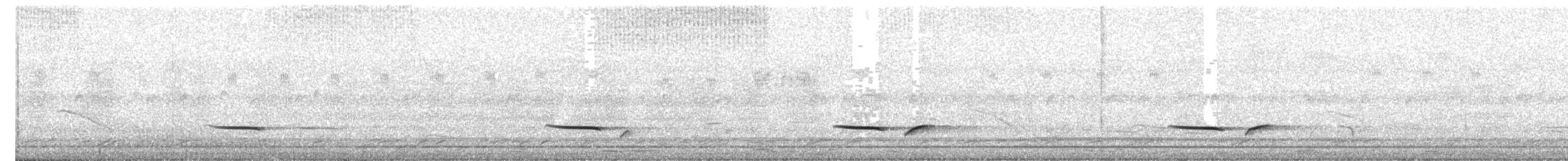 Tinamu sabelzuria - ML312296971