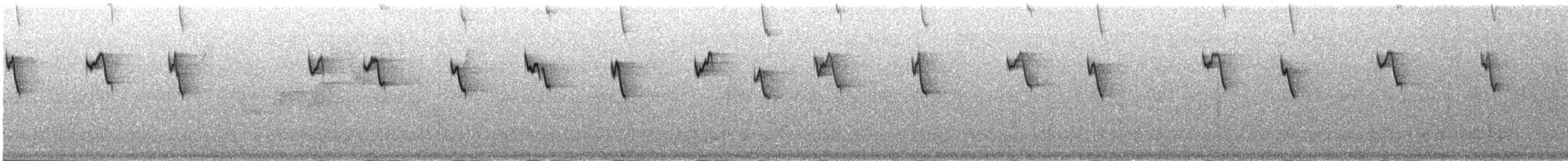 Чешуегорлый колибри-отшельник - ML312346071