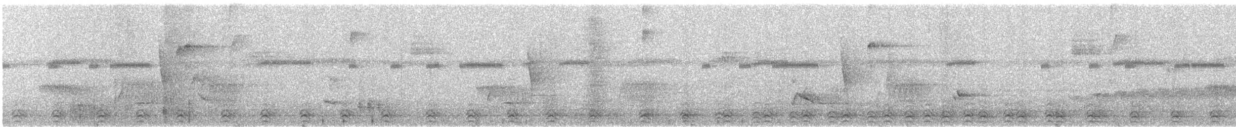 Slaty-tailed Trogon (Massena) - ML312389961
