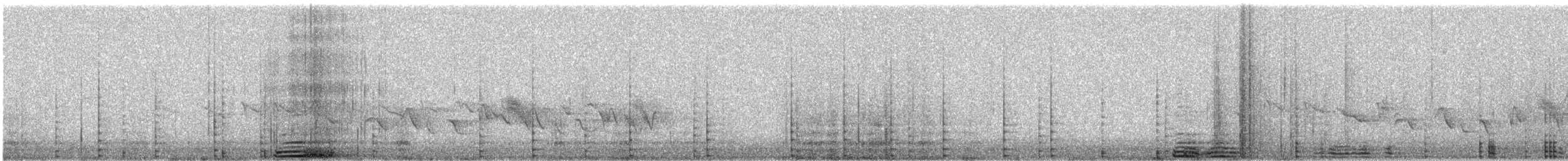 Double-crested Cormorant - ML312395881