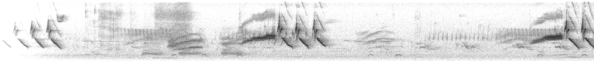 Troglodyte de Bewick - ML312458521