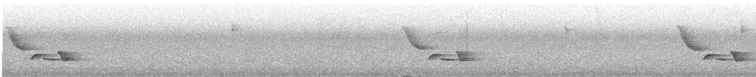 Gray-breasted Wood-Wren - ML312465591