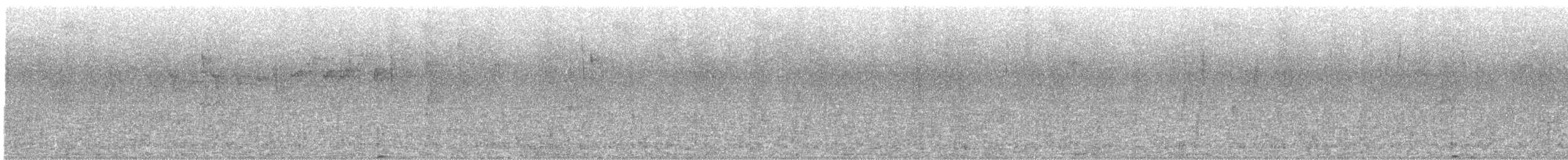 Whiskered Wren - ML312465921