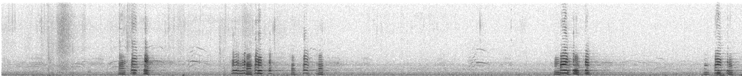 Cygne trompette - ML312499531