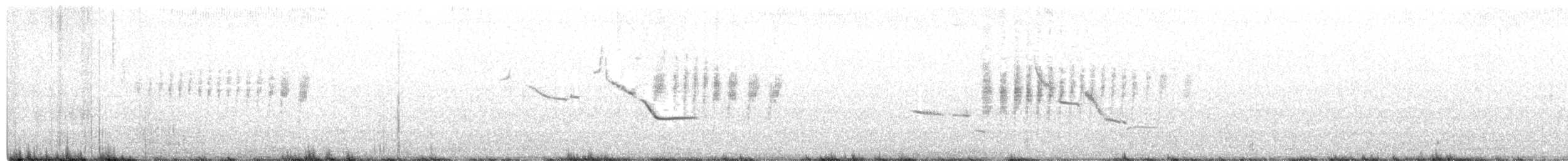 englerketrupial - ML312513311