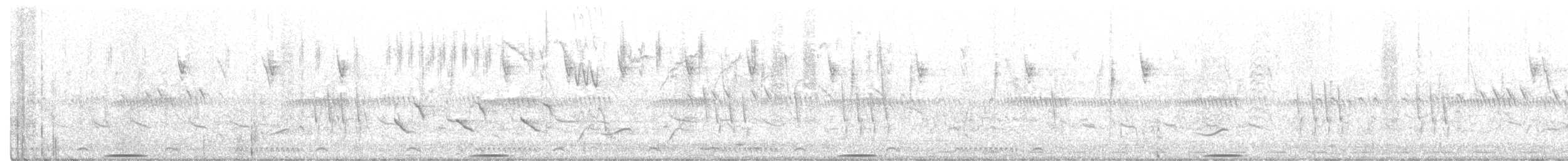 Râle de Böhm - ML312582781