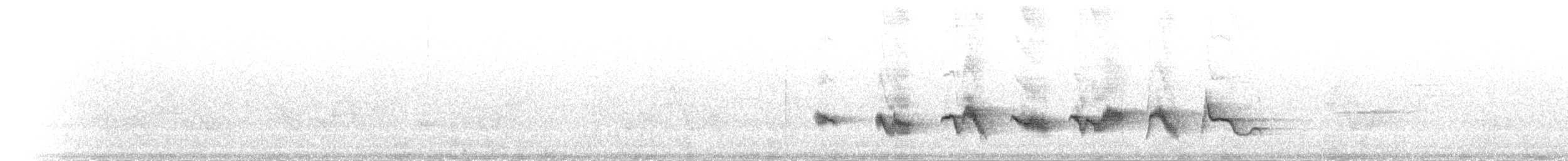 Чернокрылая пиранга - ML31258871