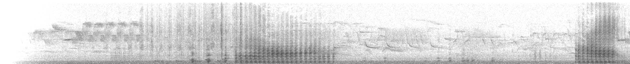 Great Cormorant - ML312616051