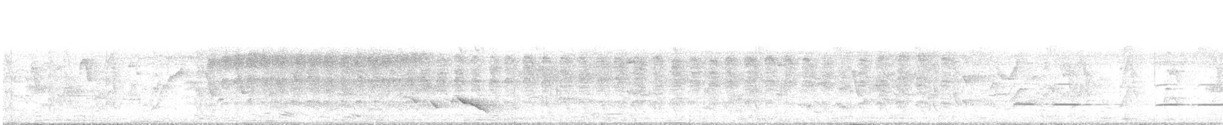 Kestane Kanatlı Tepeli Guguk - ML312634171