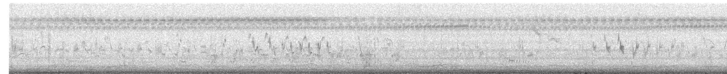 Singing Bushlark (Australasian) - ML312669731