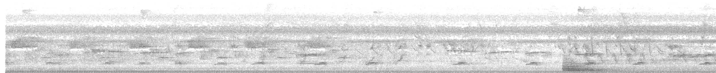 Güneyli Bıyıksız Tiranulet - ML312714121