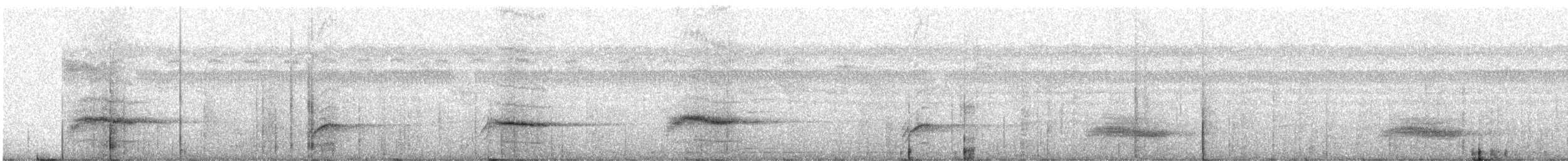 Zimtparadiesschnäpper (cinnamomea/talautensis) - ML312725261