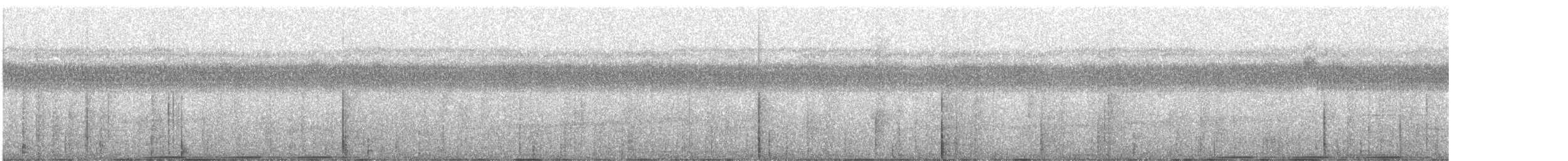 holub pásochvostý - ML312725531