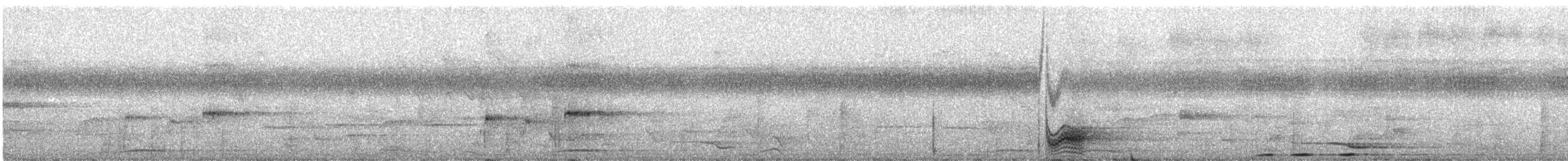 長尾鳩 - ML312759521