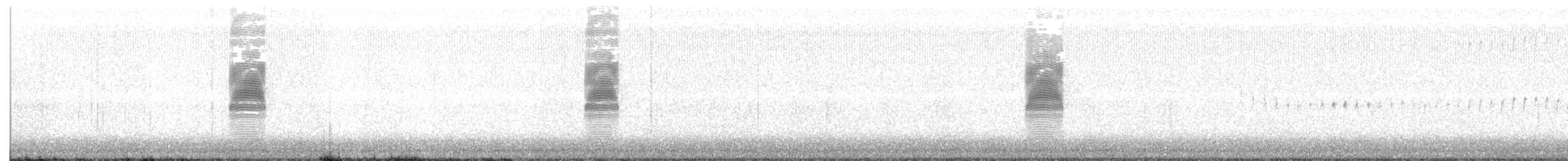 Kanadaschnepfe - ML312791681
