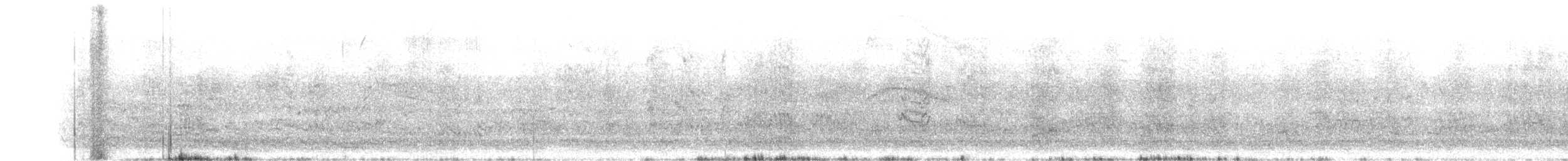 キボウシインコ - ML312845671