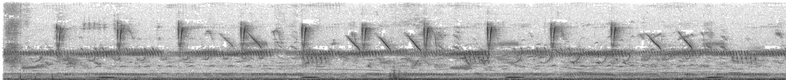 Râle de Böhm - ML312881001