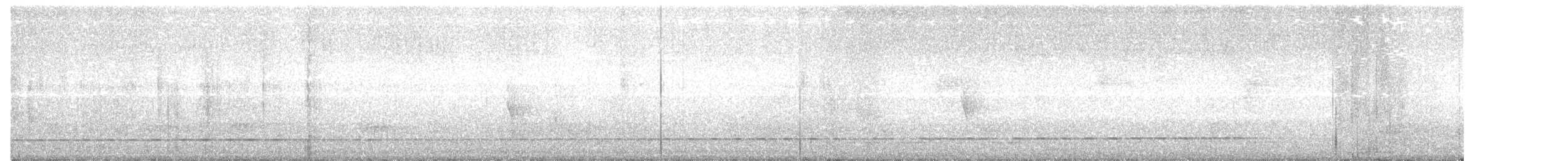 Streifenbrust-Ameisendrossel - ML312895241