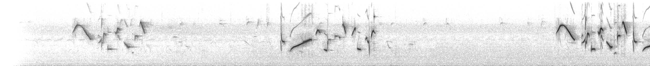 Serin d'Abyssinie - ML312921031