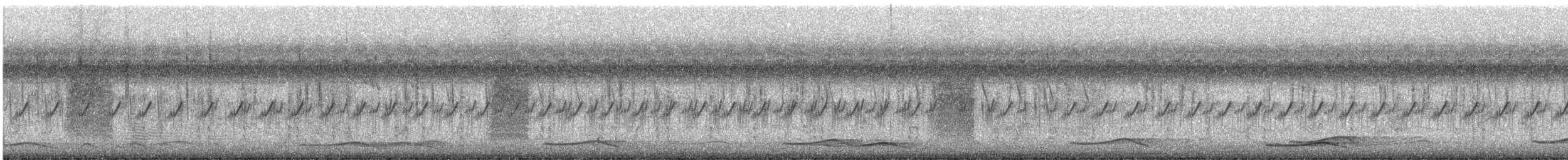 Blunt-winged Warbler - ML312921491