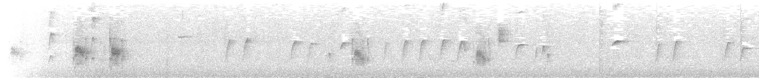 Batı Amerika Sinekkapanı (occidentalis/hellmayri) - ML312935661