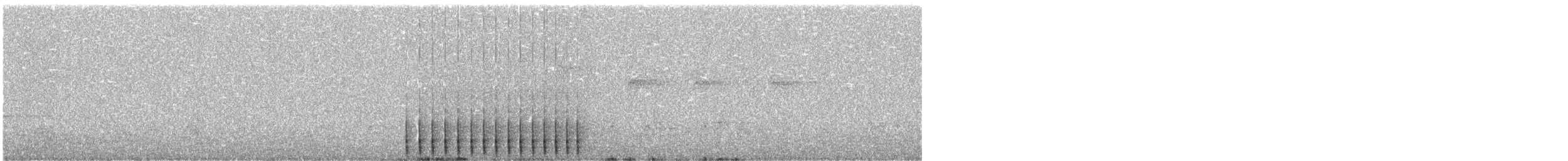 datlík smrkový (ssp. bacatus) - ML31295351
